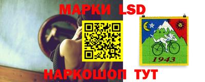 крисы Будённовск