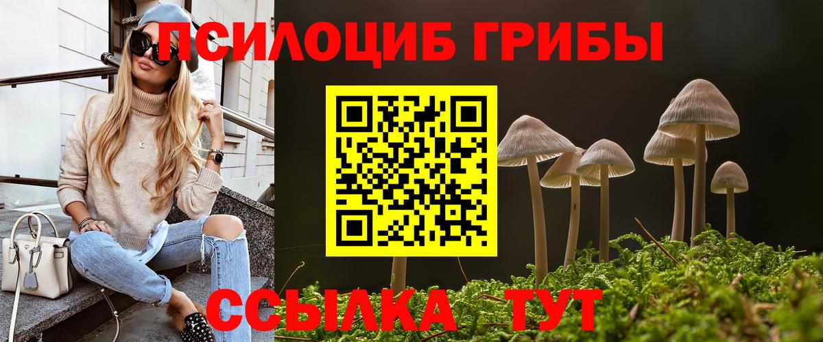 Псилоцибиновые грибы мухоморы Ленинск-Кузнецкий