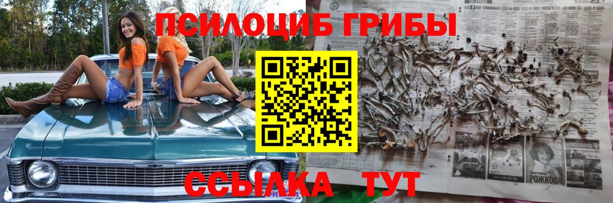 Галлюциногенные грибы мухоморы  Вход с VPN  Ленинск-Кузнецкий 